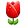 Tulip4 Tulip4